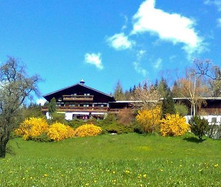 Biohof Schwanser Steinbach am Attersee Bagian luar foto