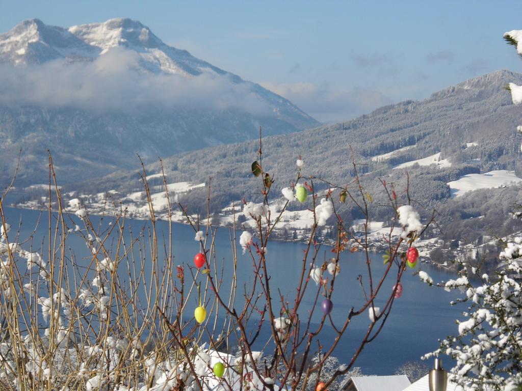 Biohof Schwanser Steinbach am Attersee Bagian luar foto