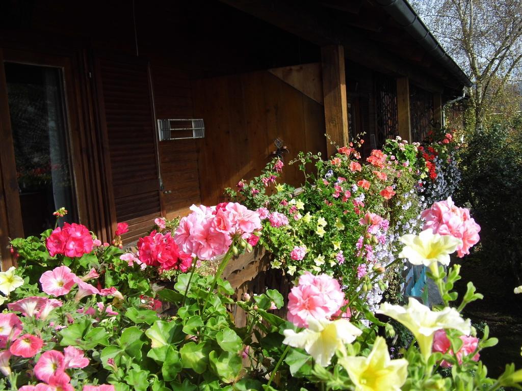 Biohof Schwanser Steinbach am Attersee Bagian luar foto