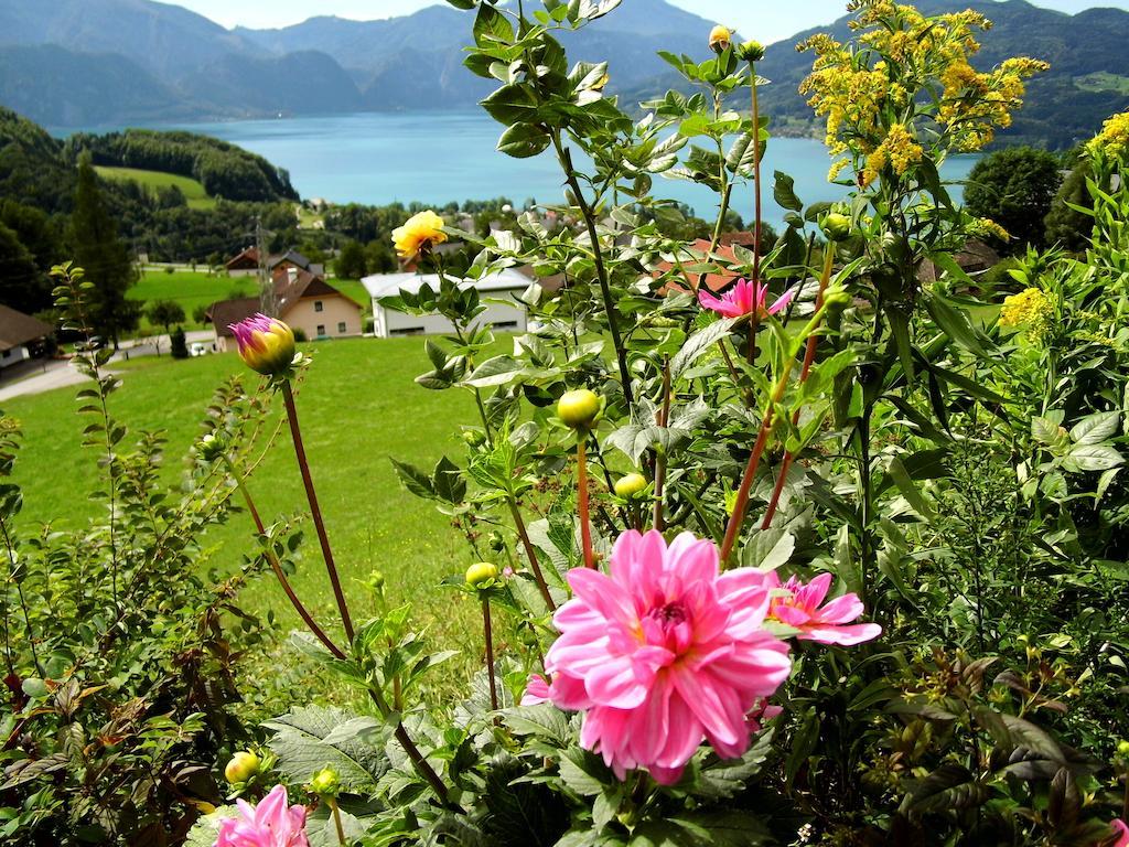 Biohof Schwanser Steinbach am Attersee Bagian luar foto