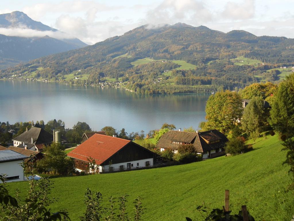 Biohof Schwanser Steinbach am Attersee Bagian luar foto