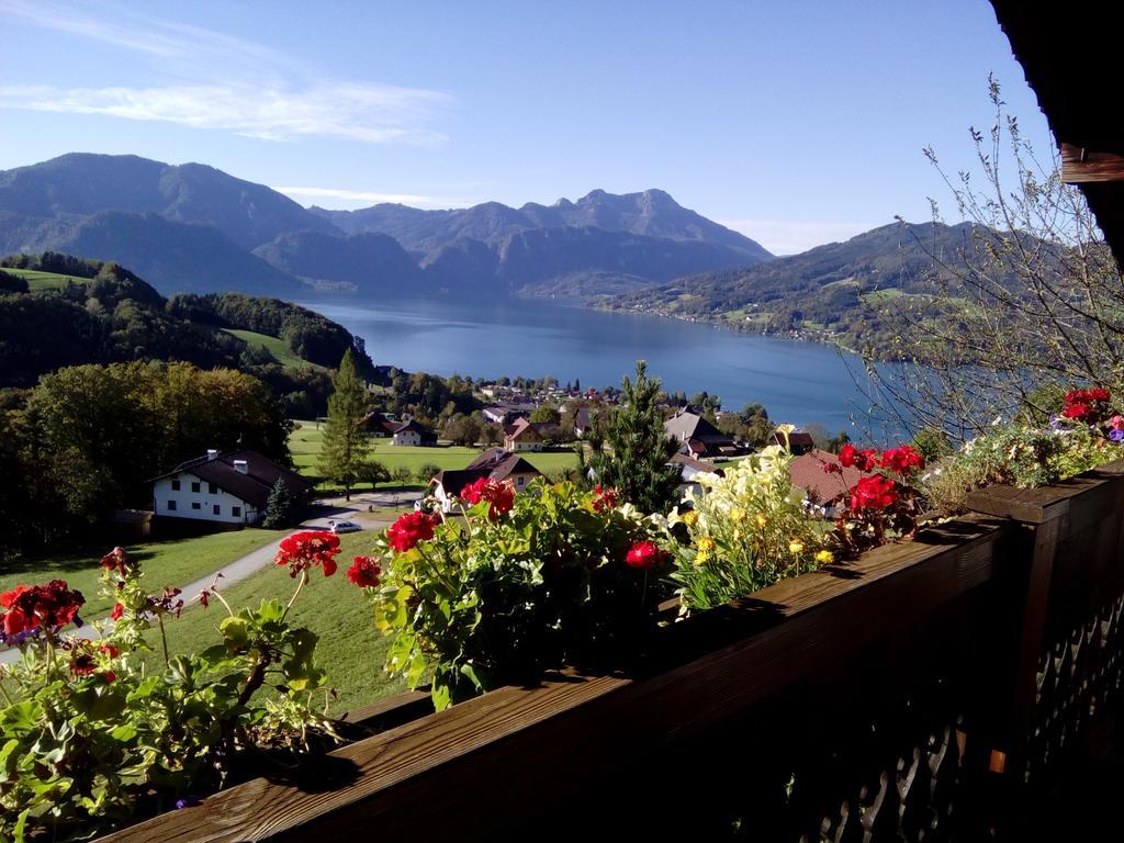 Biohof Schwanser Steinbach am Attersee Bagian luar foto