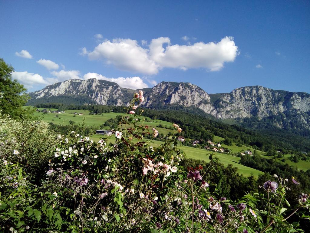 Biohof Schwanser Steinbach am Attersee Bagian luar foto