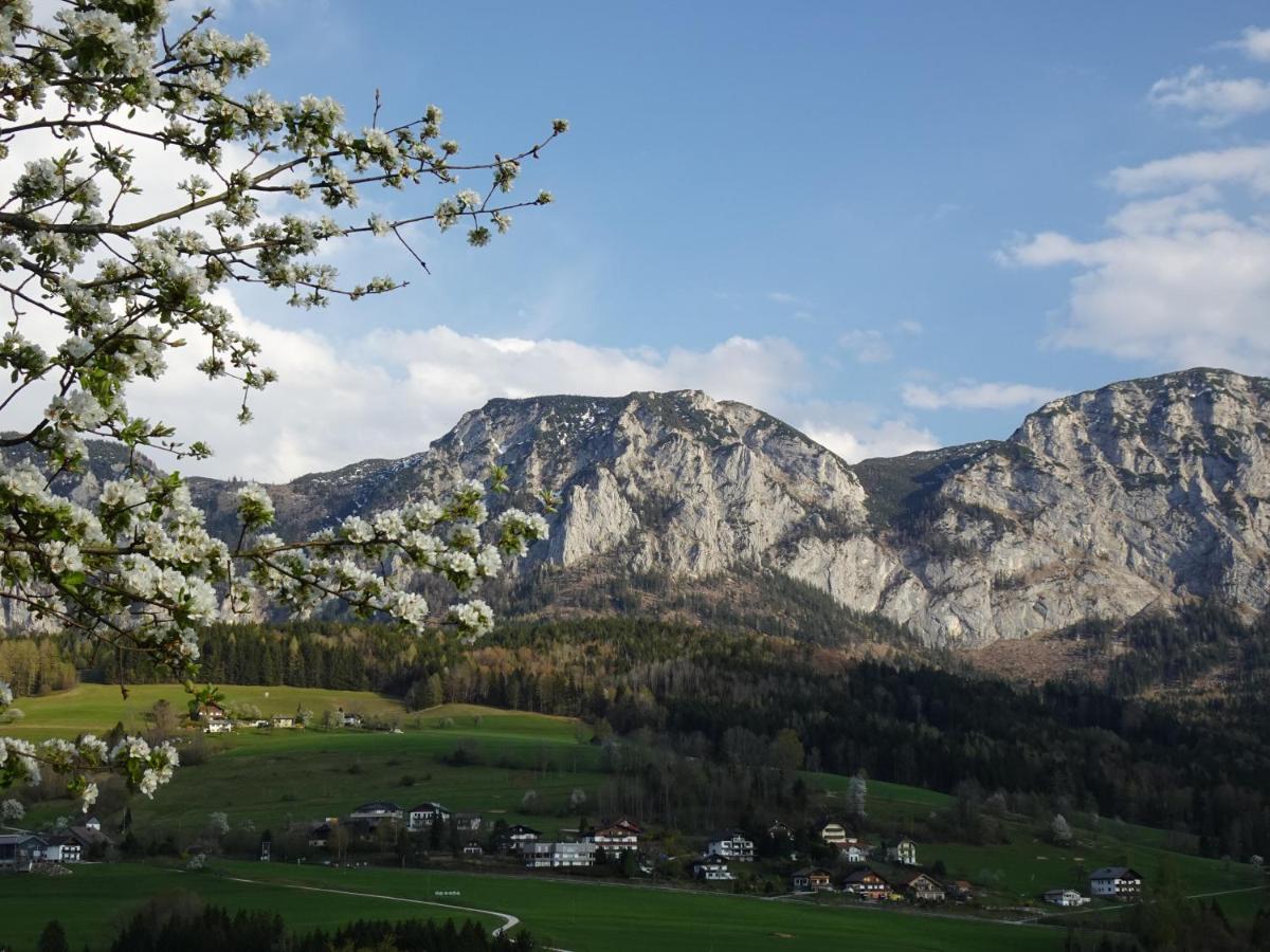 Biohof Schwanser Steinbach am Attersee Bagian luar foto